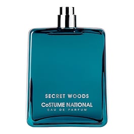 Homme Secret Wood - Eau de Parfum image